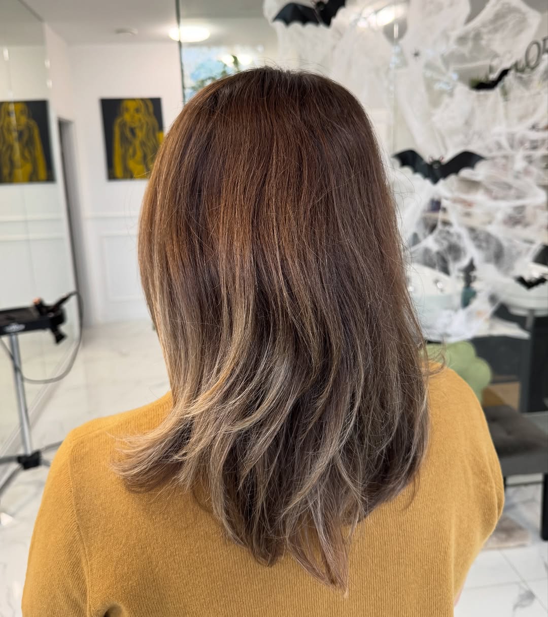 Balayage Natural Highlights Before